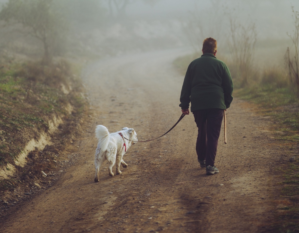 Man walking a dog.